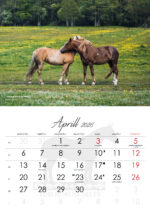 TORI HOBUSE SELTSI KALENDER 2026 - Image 5