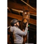 EQUITHEME - Agris - Helmet, Wide Visor GLITTER - Image 7