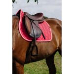 EQUITHÈME - Softypop - General Purpose Saddle Pad - Image 49
