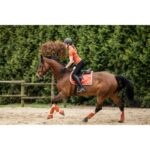 HKM Bandages -Edinburgh- - Image 5