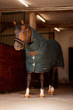 HORZE Glasgow Pony Stable Rug Hood - Image 7