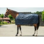 HKM Liner 300g for Turnout rug -Kombi 2- - Image 2