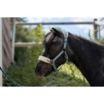 HKM Head collar -Mia- for shetland ponies - Image 5