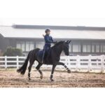 HKM Leather belt -Arezzo- - Image 9