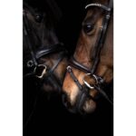 HKM Bridle -Arezzo- - Image 7