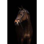 HKM Bridle -Arezzo- - Image 5