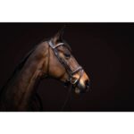 HKM Bridle -Arezzo- - Image 9
