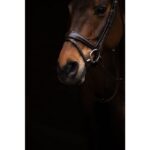 HKM Bridle -Arezzo- - Image 8