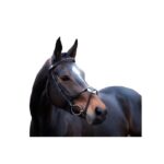 HKM Bridle -Carlos- - Image 3