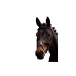 HKM Bridle -Carlos- - Image 9