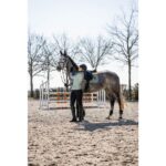 HKM Saddle cloth -Florence- - Image 12