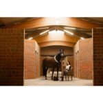 HKM Cooler -Arezzo- - Image 3