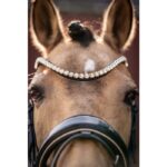 HKM Bridle -Limone Elegant- - Image 3