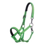 HKM Foal head collar -Millie-