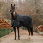HORKA Turnout rug with softshell collar 1200D, 0 GSM - Image 2