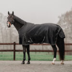 HORKA Turnout rug RAGNA, 600D, 100 GSM