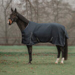 HORKA Turnout rug RAGNA, 600D, 100 GSM - Image 2