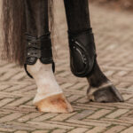 HORKA Fetlock boots PRO - Image 2