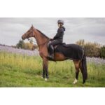 Diagonal fleece exercise sheet - PADDOCK - Image 9