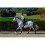 EQUITHÈME All-Purpose Saddle Pad – Pearl - Image 4