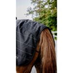 EQUITHÈME Exercise Sheet – TYREX Lumin 600D - Image 2