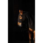 EQUITHÈME - Fleece - Full Neck Protection - Image 3