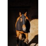 EQUITHÈME - Fleece - Full Neck Protection