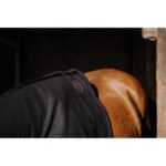 EQUITHÈME - Fleece - Full Neck Protection - Image 2