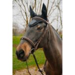 EQUITHÈME Fly Veil - Pearl - Image 8