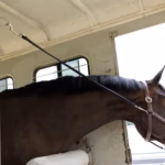 HORZE Rubber Trailer Tie (100 cm) - Image 3