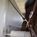 HORZE Rubber Trailer Tie (100 cm) - Image 2