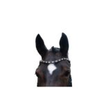 HKM Bridle -Mila- anatomic - Image 4