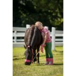 HKM T-shirt -Maui- - Image 12