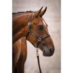 HKM Leather head collar -Sparkle- - Image 2
