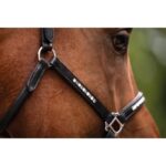HKM Leather head collar -Sparkle- - Image 4
