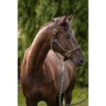 HKM Head collar -Limone Sportive- - Image 2