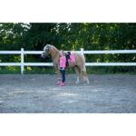 HKM Saddle cloth -Maui Patch- for shetland ponies - Image 9