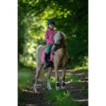 HKM Saddle cloth -Maui Patch- for shetland ponies - Image 8