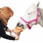 HORSYD Dried carrots 1,5 kg. - Image 2