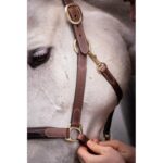 Leather Halter with 3 Snap Hooks – PADDOCK - Image 7