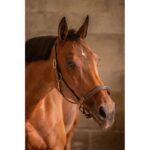 Leather Halter with 3 Snap Hooks – PADDOCK - Image 6