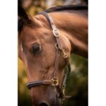 Leather Halter with 3 Snap Hooks – PADDOCK - Image 5