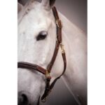 Leather Halter with 3 Snap Hooks – PADDOCK - Image 3