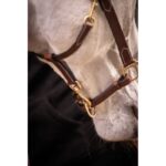 Leather Halter with 3 Snap Hooks – PADDOCK - Image 2