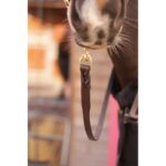 PADDOCK Presentation Lunge Line 2.25 m - Image 9