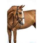 HKM Bridle -Anatomic Sports- (COB, FULL) - Image 2