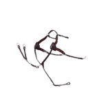 PREMIERE Breastplate 5-Points elastic (FULL) - Image 2