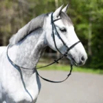 Horze Leather Bitless Bridle - Black (PONY) - Image 2