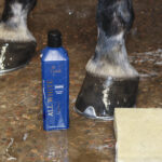 NATHALIE HORSE CARE All white shampoo - Image 2