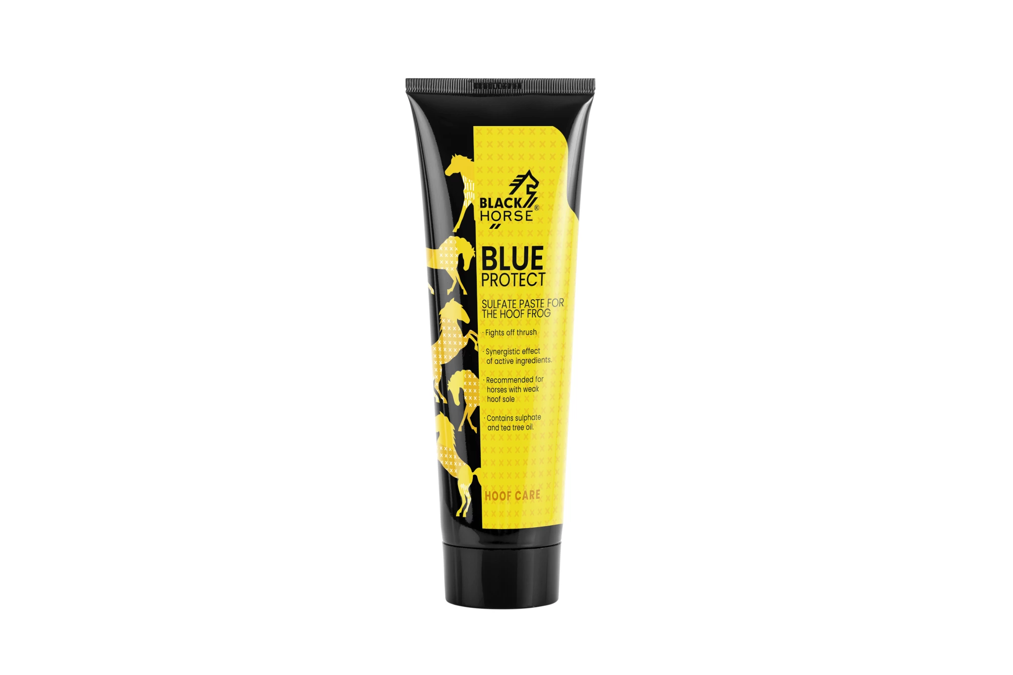 BLACK HORSE Sulfate paste BLUE PROTECT - 250 ml